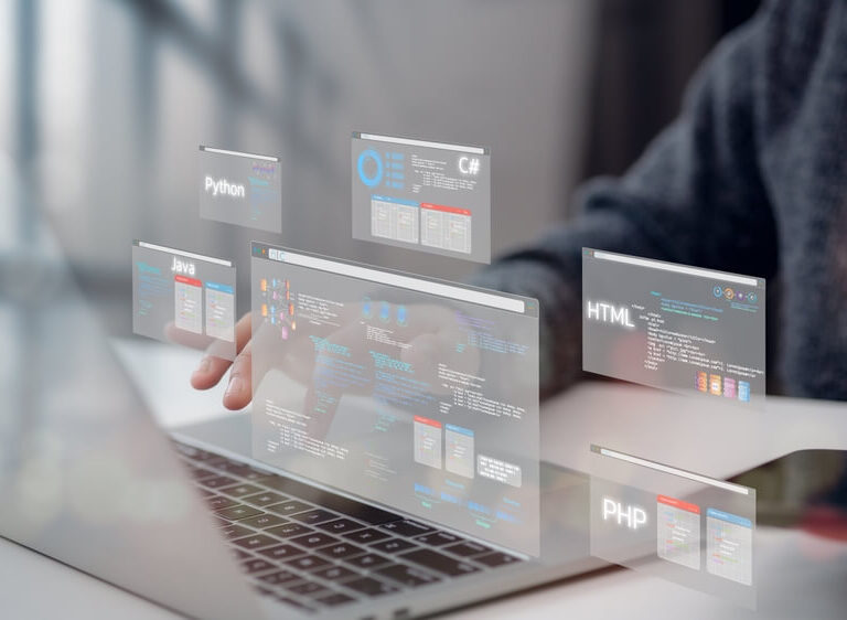 WordPress vs Web Development